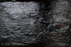 Elly Weiblen Wasser Dietenbach 2022-2.jpg